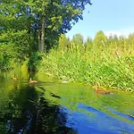 Lesny * Pilka (Czarnkow-Trzcianka)