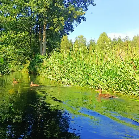 Lesny * Pilka (Czarnkow-Trzcianka)