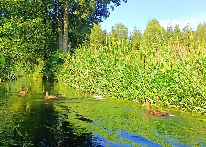 Lesny * Pilka (Czarnkow-Trzcianka)