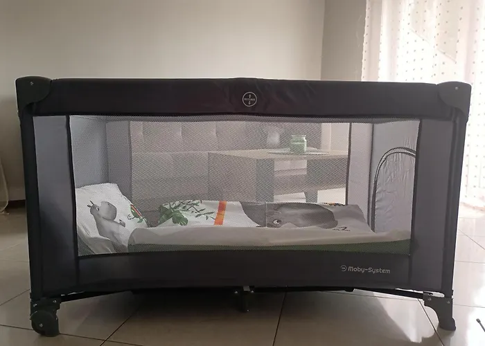 Lesny Daire Pilka (Czarnkow-Trzcianka)